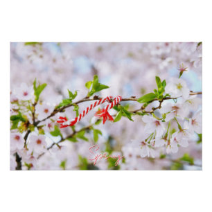 Beautiful spring greeting poster