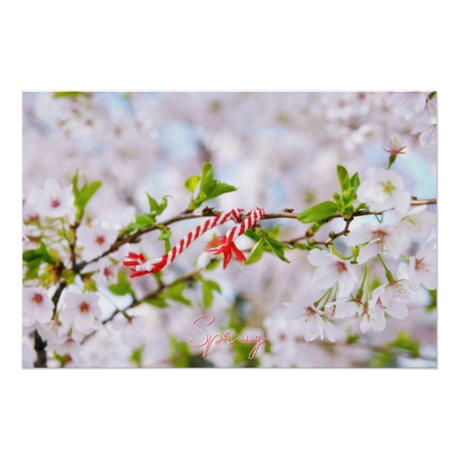 Beautiful spring greeting poster (Front)