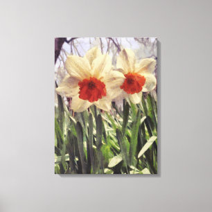 Beautiful Spring Painted Daffodil Flower Canvas Print