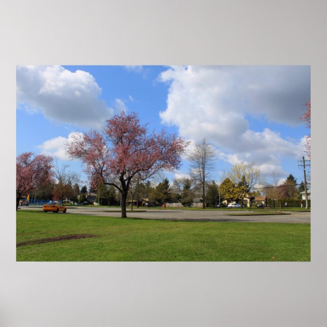 Beautiful spring park landscape photography poster (Front)