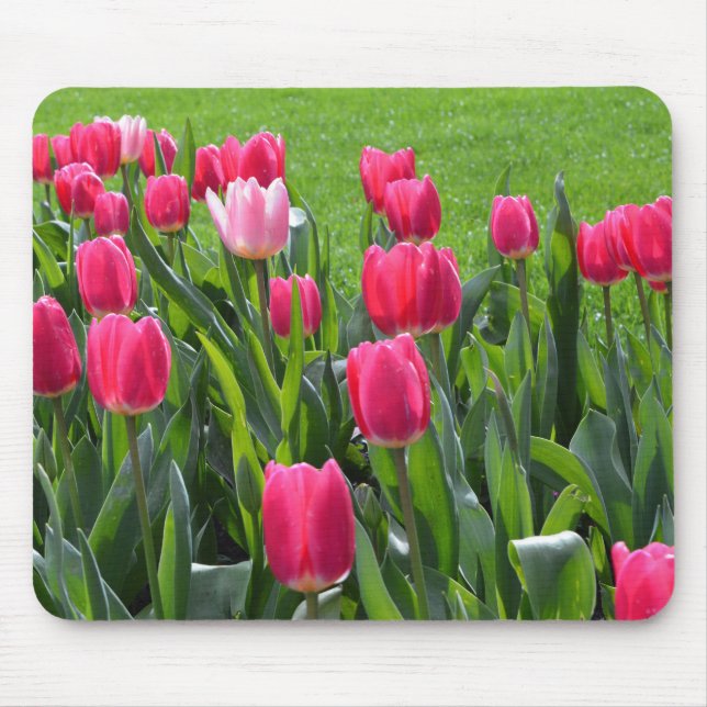 Beautiful spring pink tulip flowers,green leaves mouse mat (Front)