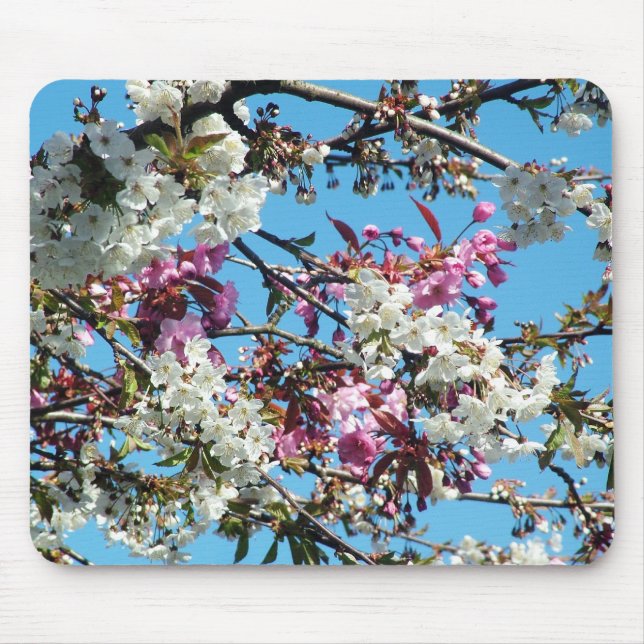 Beautiful spring pink, white cherry blossom mouse mat (Front)
