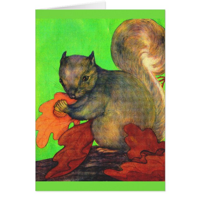 beautiful squirrel (Front)