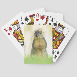 Beautiful Squirrel Playing Cards