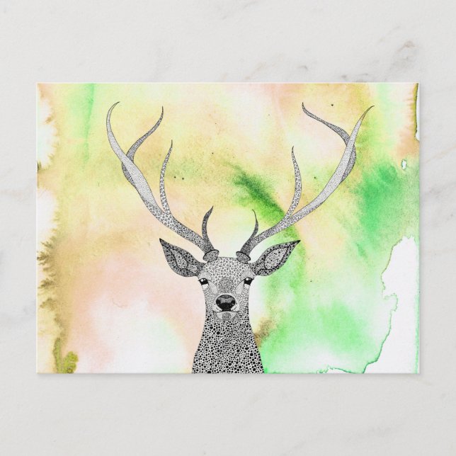 Beautiful Stag Postcard (Front)