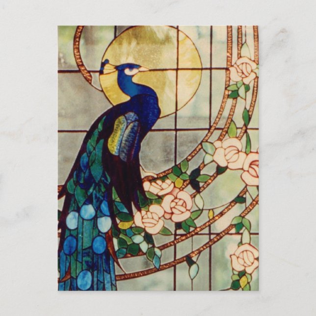Beautiful Stained Glass Peacock Postcard (Front)