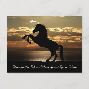 Beautiful Stallion Horse in Sunset Personalise Postcard