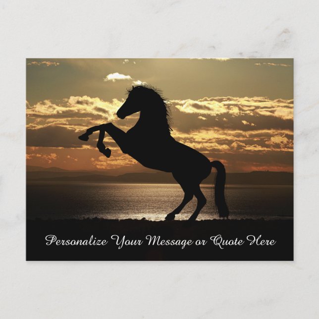 Beautiful Stallion Horse in Sunset Personalise Postcard (Front)