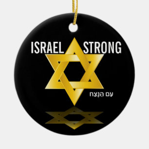 Beautiful Star of David Ceramic Tree Decoration