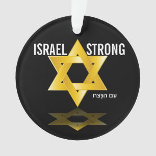 Beautiful Star of David Ornament