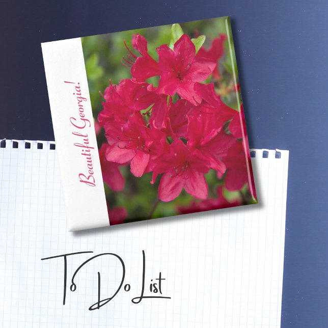 Beautiful State Flower Georgia~ Azalea  Magnet (Creator Uploaded)
