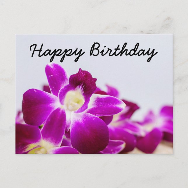 Beautiful Stem of Purple Orchid on white birthday Postcard (Front)