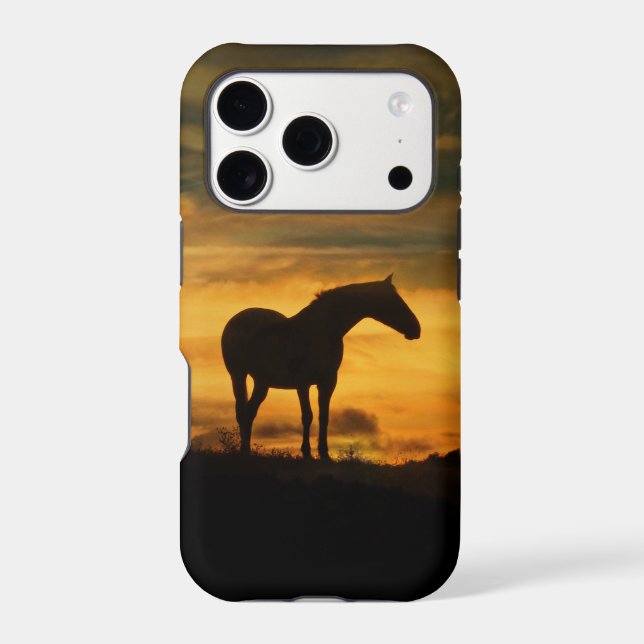 Beautiful Strong Horse Silhouetted Sunset (Back)