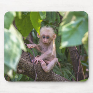 Beautiful Stump Tailed Macaque Mouse Mat