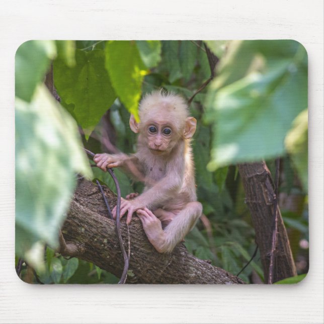 Beautiful Stump Tailed Macaque Mouse Mat (Front)