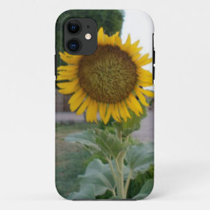 Beautiful Stunning Sunflower iPhone 11 Case