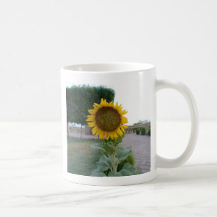 Beautiful Stunning Sunflower Coffee Mug