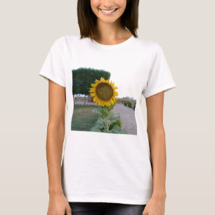 Beautiful Stunning Sunflower T-Shirt