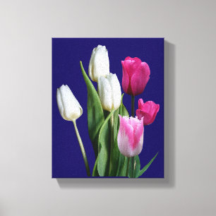 Beautiful stylish pink white tulips blue floral canvas print