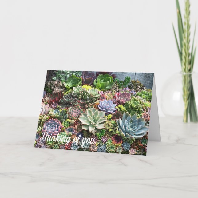 Beautiful Succulents Card (Front)