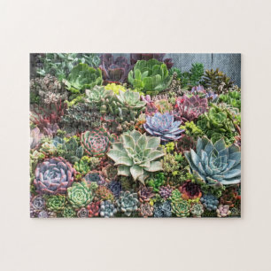Beautiful Succulents Jigsaw Puzzle