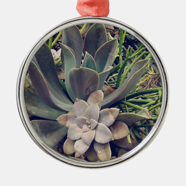 Beautiful Succulents Metal Tree Decoration (Front)