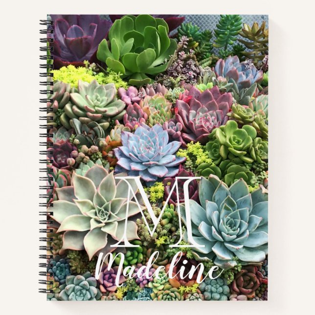 Beautiful Succulents Notebook (Front)