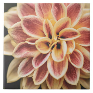 Beautiful Summer Dahlia Flower (Pretty Floral Art) Tile