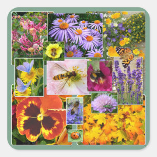 Beautiful Summer Flowers and Insects Collage Square Sticker