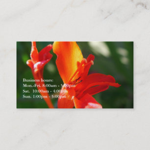 beautiful summer red flowers professional profile business card