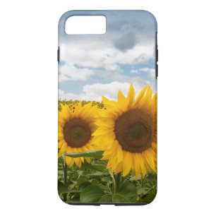 beautiful summer sunflowers iPhone 8 plus/7 plus case
