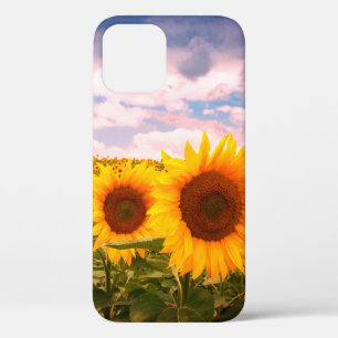 Beautiful summer sunflowers  iPhone 12 case