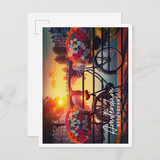 Beautiful summer sunrise Amsterdam Netherlands Postcard (Front/Back)
