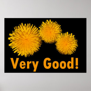 Beautiful summer yellow daisy flowers very good poster