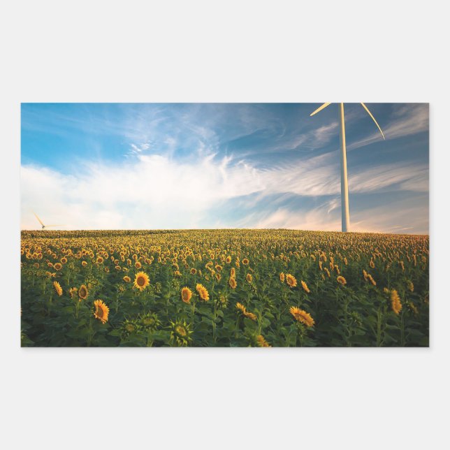 beautiful sun flowers field with cloudy blue sky a rectangular sticker (Front)