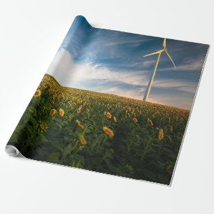 beautiful sun flowers field with cloudy blue sky a wrapping paper