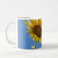 beautiful sun flowers with cloudy blue sky