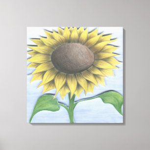 Beautiful Sunflower Canvas Print