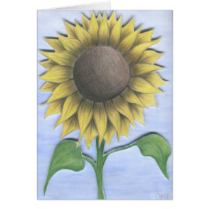 Beautiful Sunflower Drawing Note Card