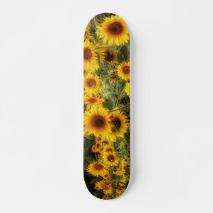Beautiful Sunflower Field Photo Skateboard