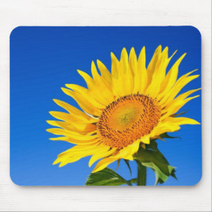 Beautiful Sunflower Mouse Mat