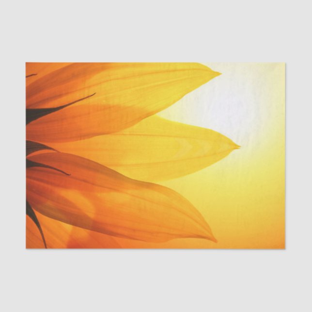 Beautiful Sunflower - Tissue Paper (Front)