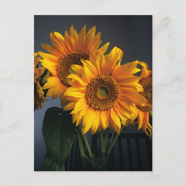 Beautiful Sunflowers in Vase Postcard (Front)