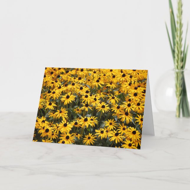 Beautiful Sunflowers, Lots and Lots of Black Eyed Thank You Card (Front)