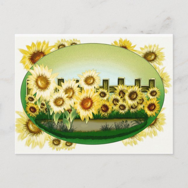 Beautiful Sunflowers Postcard (Front)