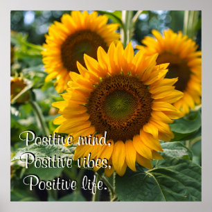 Beautiful Sunflowers under the Sun Personalised Poster