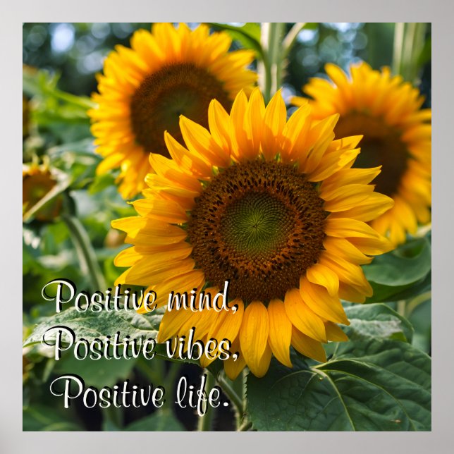 Beautiful Sunflowers under the Sun Personalised Poster (Front)