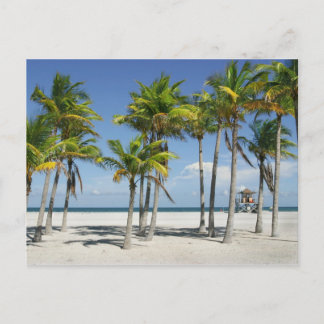 Beautiful Sunny Beach in Afternoon Postcard