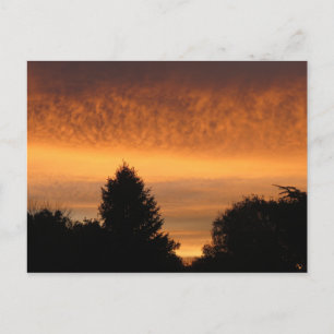 Beautiful Sunrise Postcards