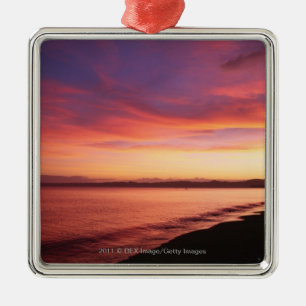 Beautiful sunset at the beach metal tree decoration